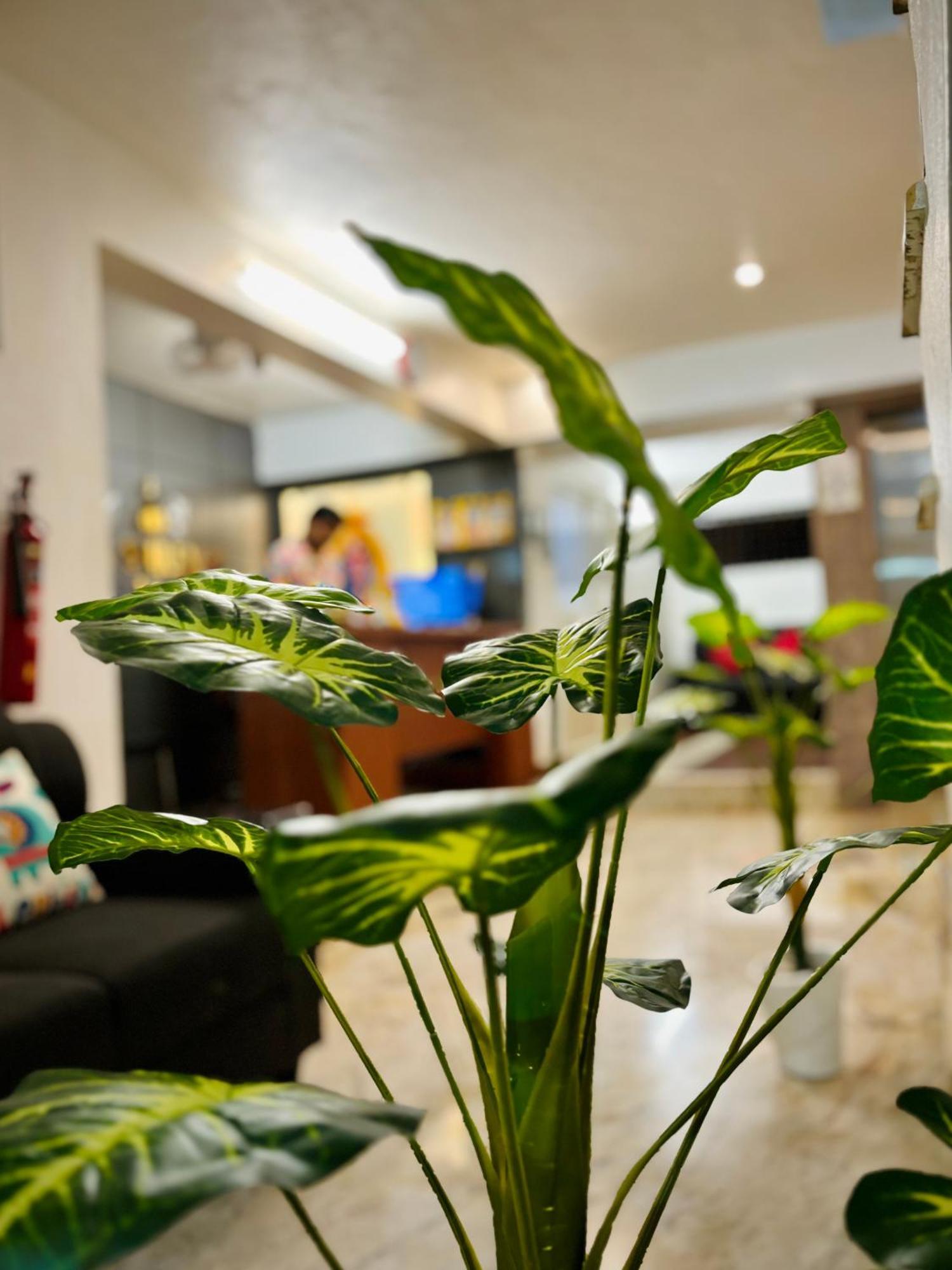 Sai Shreyas Residency, Best Hotel Near Bangalore Airport Dod Jala ภายนอก รูปภาพ